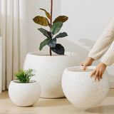 セメント植木鉢　オシャレ樹木鉢 インテリア　　高級感　造花　ナチュラル　造木　自然　植物鉢　大型緑植物鉢　
