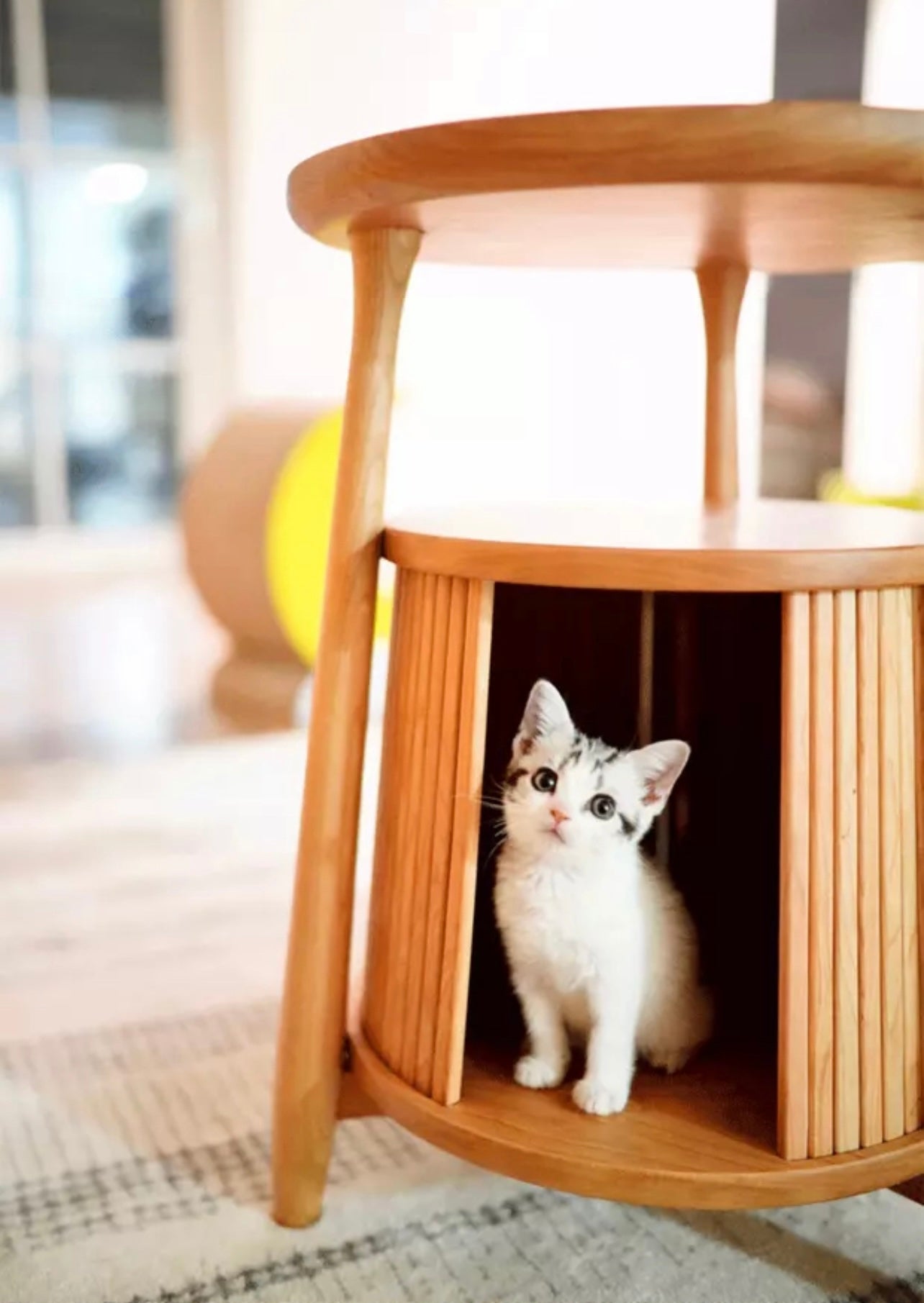 スタイリッシュ猫ベッド　キャットハウス&サイドテーブル